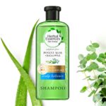 Herbal Essences Aloe Vera Shampoo