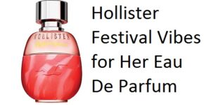 Hollister Festival Vibes