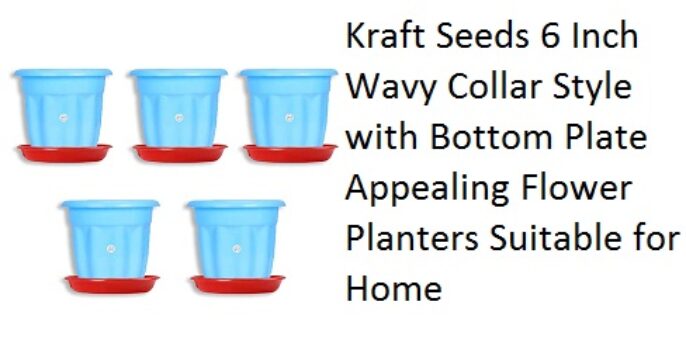Kraft Seeds 6 Inch Wavy Collar Style