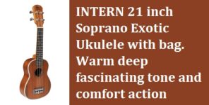 INTERN 21 inch Soprano Exotic Ukulele with bag