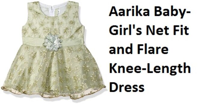 Aarika Baby-Girl's Net Fit and