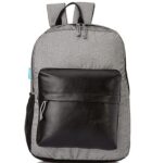 F Gear Emprise Grey, Black 23 Ltrs Backpack