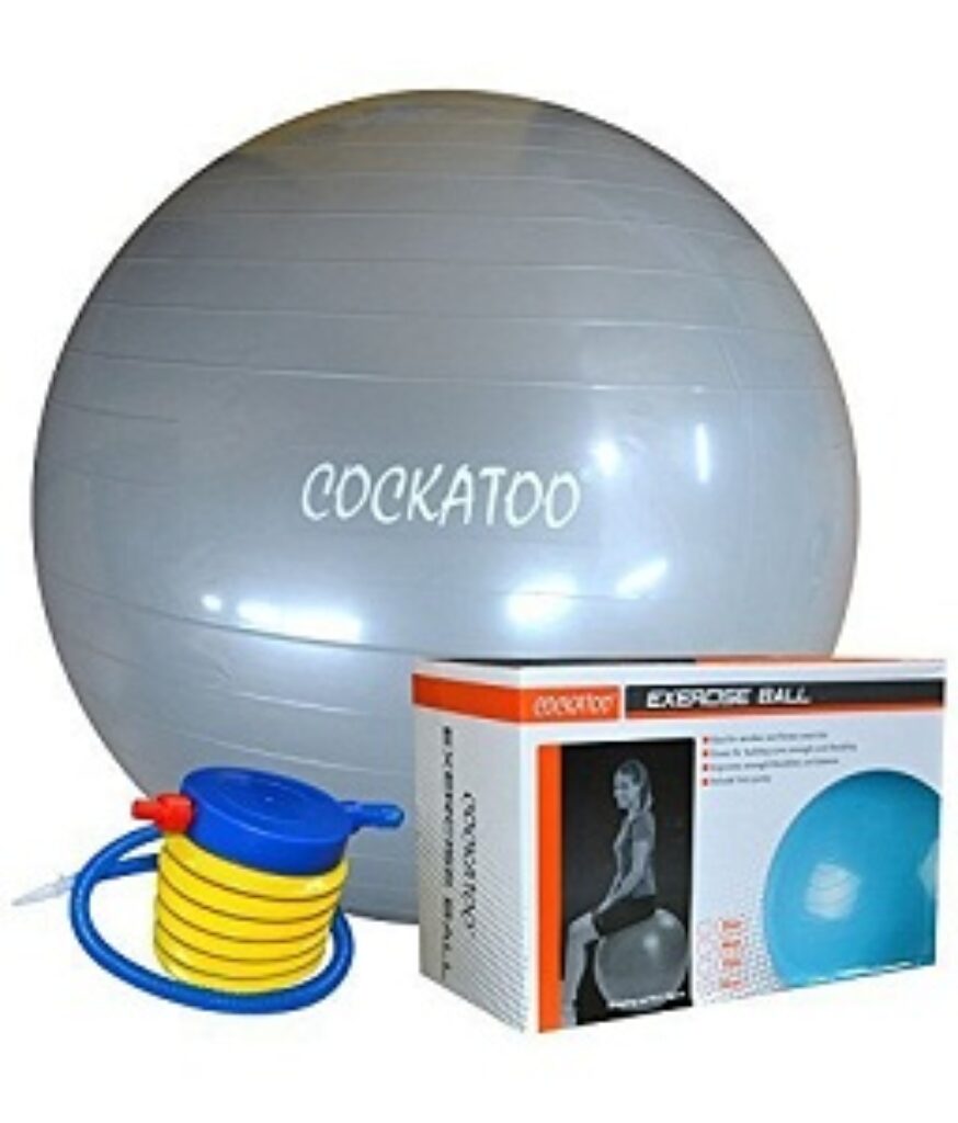 Cockatoo Anti-Burst Gym Ball