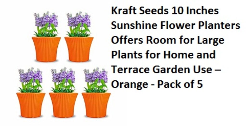 Kraft Seeds 10 Inches Sunshine Flower Planters Offers Room