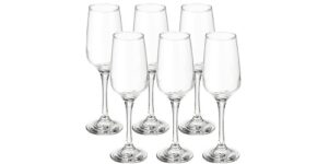 Solimo Champagne Glass Set