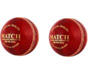 PSE Priya Sports Leather Match Cricket Ball Red Pack of 2 (4Part)