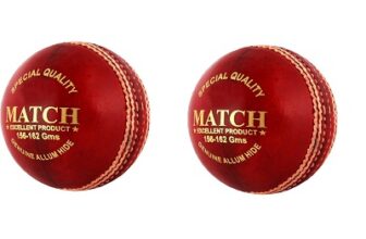PSE Priya Sports Leather Match Cricket Ball Red Pack of 2 (4Part)