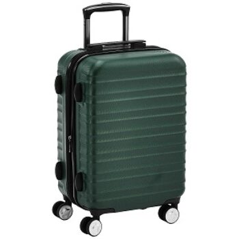 AmazonBasics 20-Inch Carry-on, Green