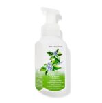 Bath & Body Works Sweet Mint & Rain Gentle & Clean Foaming Hand Soap