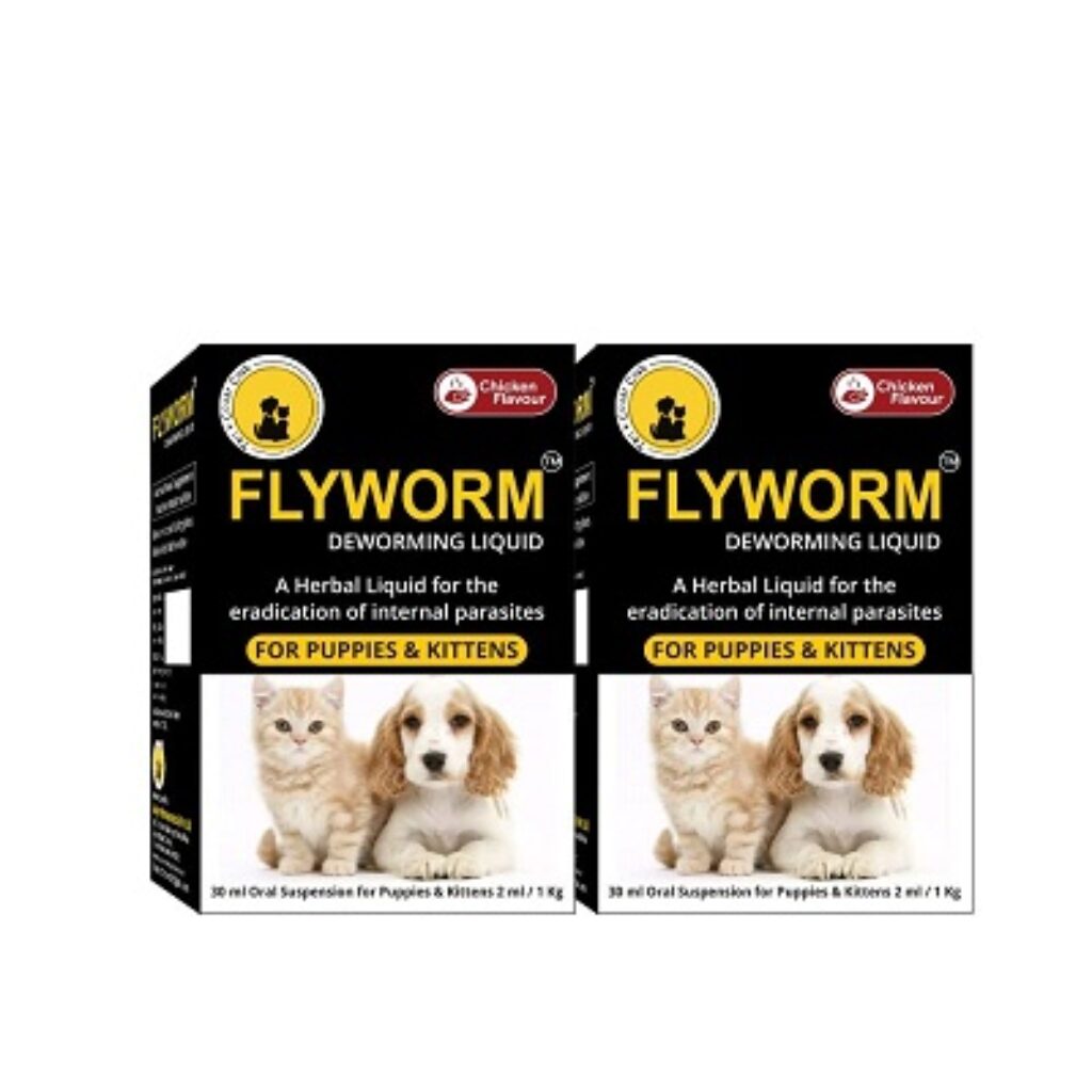 Tail & Collar Club Flyworm Syrup Dewormer for Puppy & Kitten