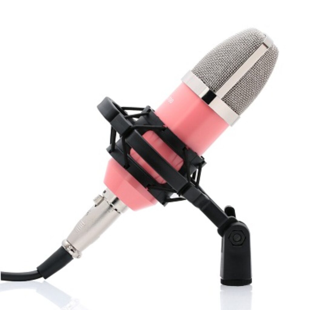 Powerpak Studio Microphone BM-700 Professional Large Diaphragm Studio Recording Microphone (Pink)