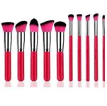 Sunaina Makeup Brush Set of 10 soft bristle Red brushes for Foundatio
