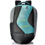 Zwart 25 Ltrs Dark Green School Backpack (VEZIK-SG)