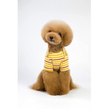 A+a Pets' Soft Cotton T-Shirts for Dogs, Puppies & Cats (S, Yellow)