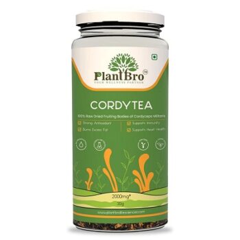 PlantBro CordyTea, Chunked Cordyceps Blended with Herbal Green Tea, 30g