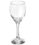 Solimo Wine Glass 245ml, Set of 6, Transparent