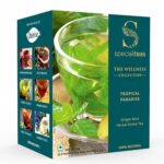 Cherise Specialiteas Tropical Paradise Ginger Mint Herbal Green Tea