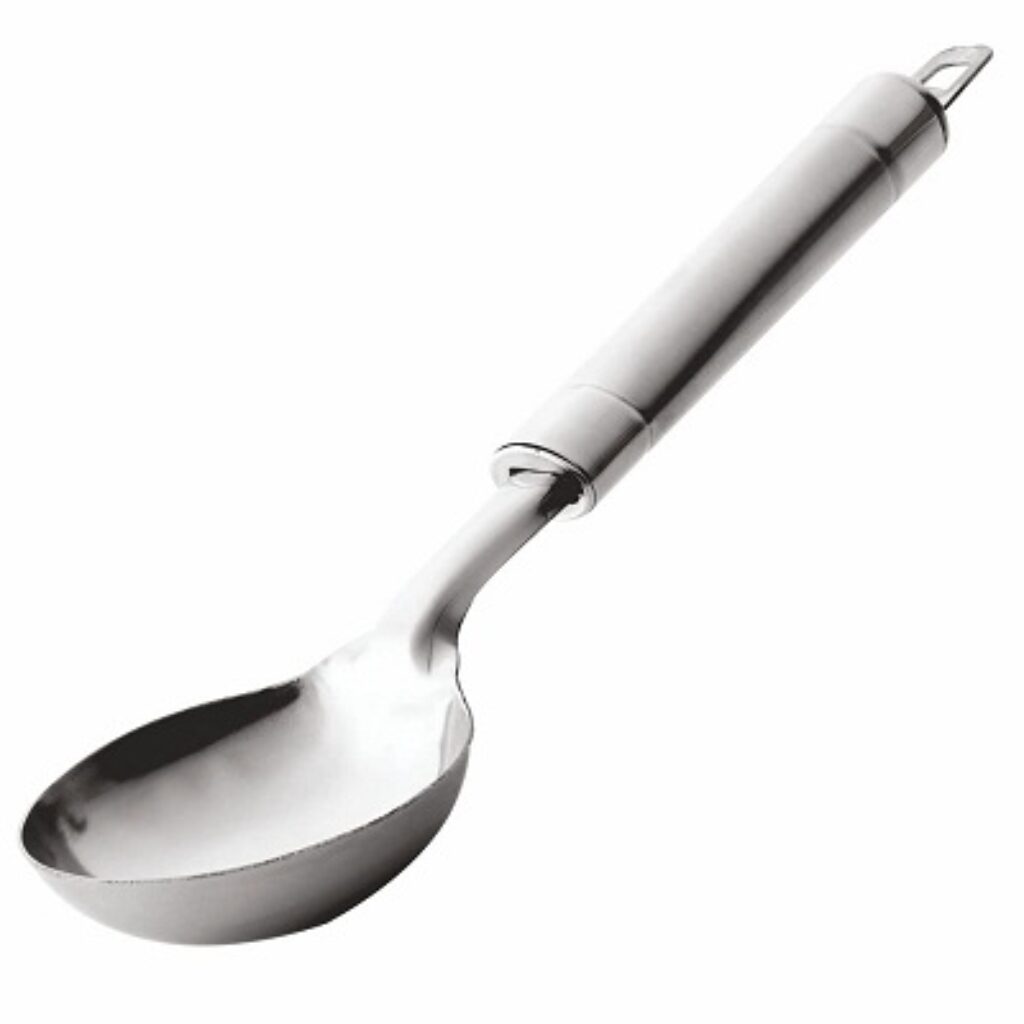 Signoraware Serving Ladle (Dual Tone) 10 inch