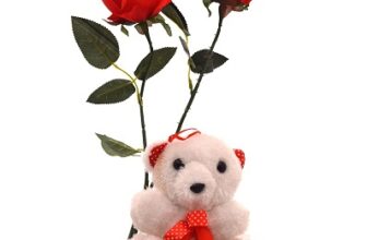 Fourwalls Valentine Special Synthetic Teddy Bear