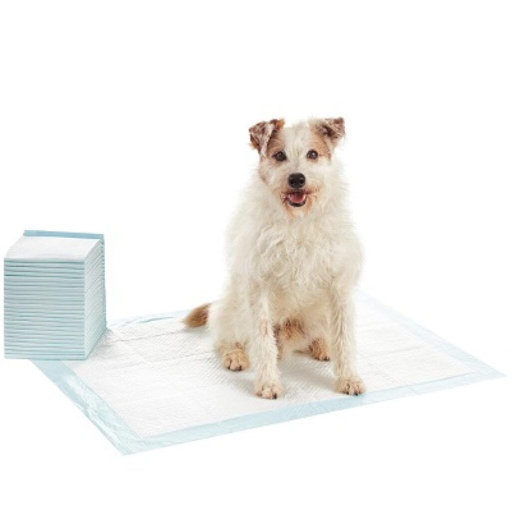 amazon basics Heavy Duty Pet and Puppy Training Pads