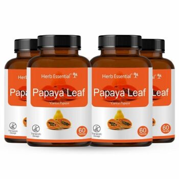 Herb Essential Carica Papaya Leaf
