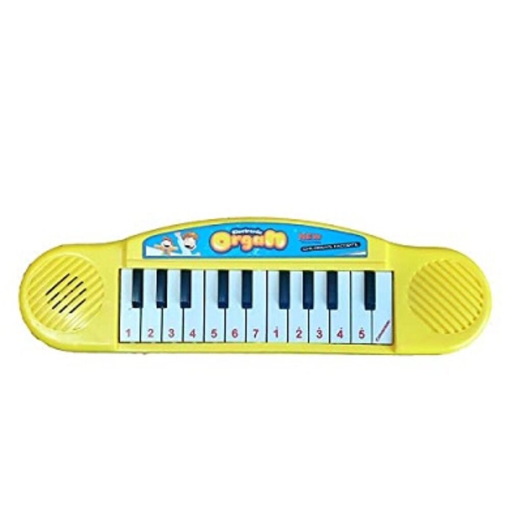 VGRASSP Multi-Function Portable Electronic Piano