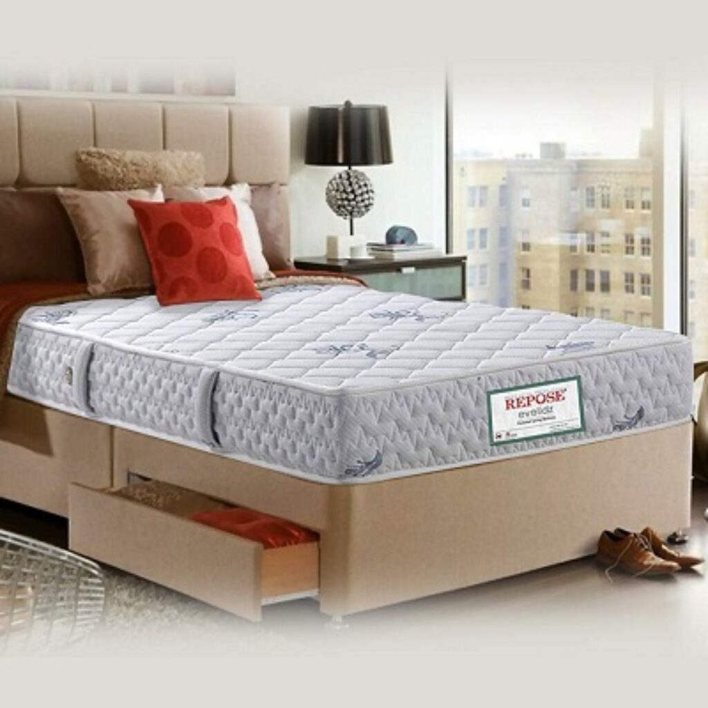 Repose Eyelidz 8-inch Firm Queen Size Spring Mattress