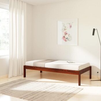 Amazon Brand - Solimo Gauld Acacia Wood Single Bed Without Storage