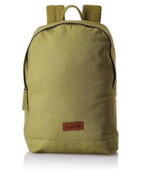 Footloose by Skybags Walter 20 Ltrs Canvas Olive Casual Backpack (Walter)