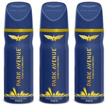 Park Avenue Good Morning Body Deodorant for Men