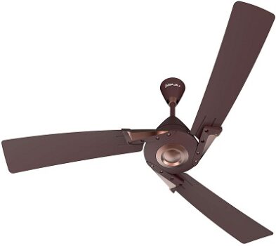 Bajaj Euro Prime EE 1200mm Walnut & Copper Ceiling Fan (T)