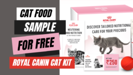Cat Food Samples