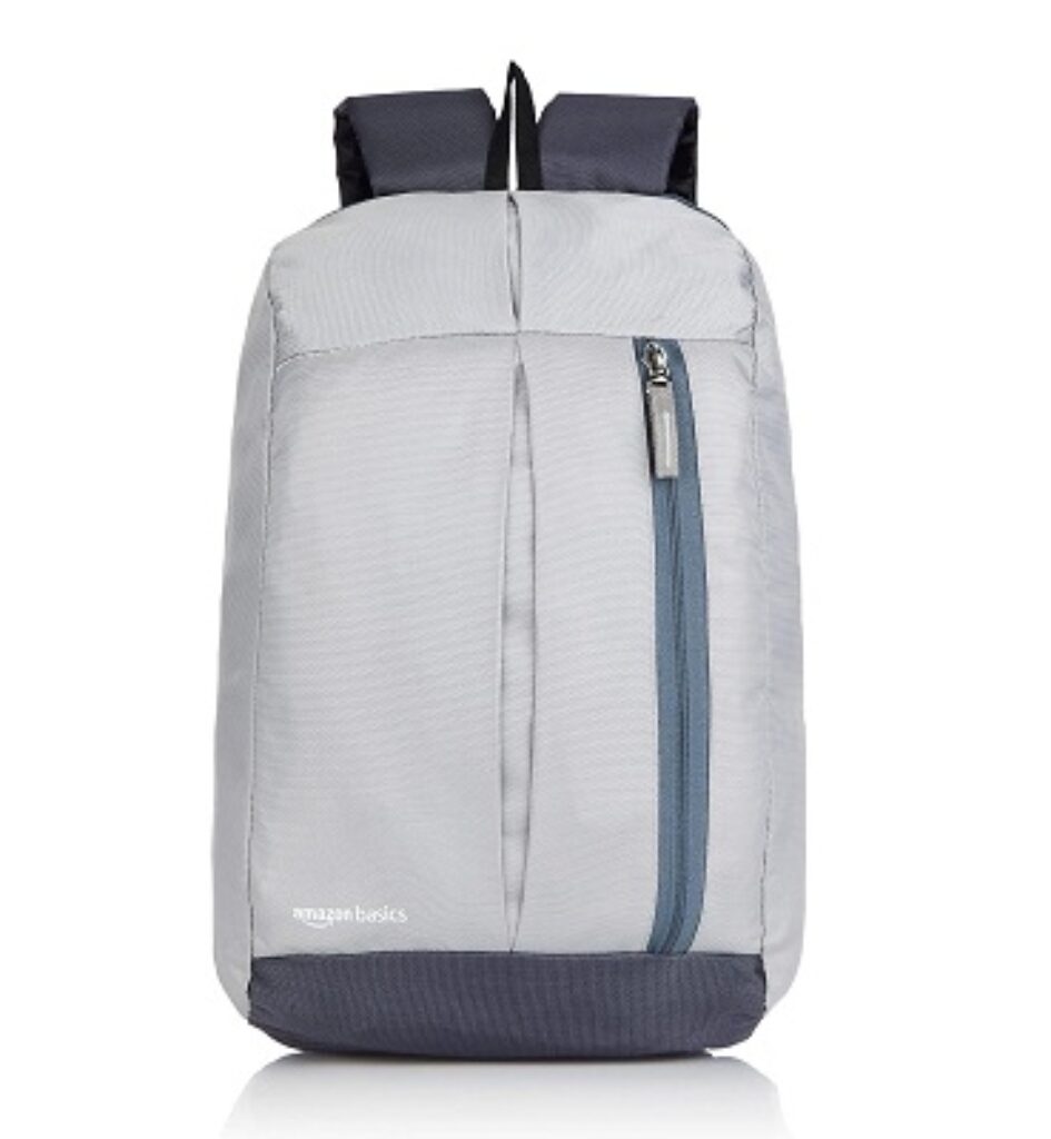 AmazonBasics - Mini Backpack for Outdoor Use (12 l) (Metallic Grey)