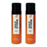 Wild Stone Iron No Gas Deo For Men - 120 ML, Long lasting perfume Body Spray | Deo Combo Pack
