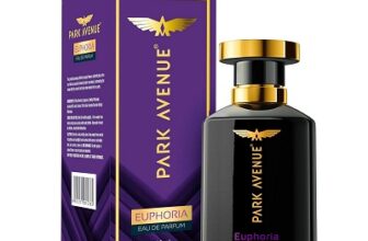 Park Avenue Euphoria – Eau De Parfum Men, 100ml | Perfume for Men | Premium Luxury Fragrance Scent | Long-lasting Aroma Perfume
